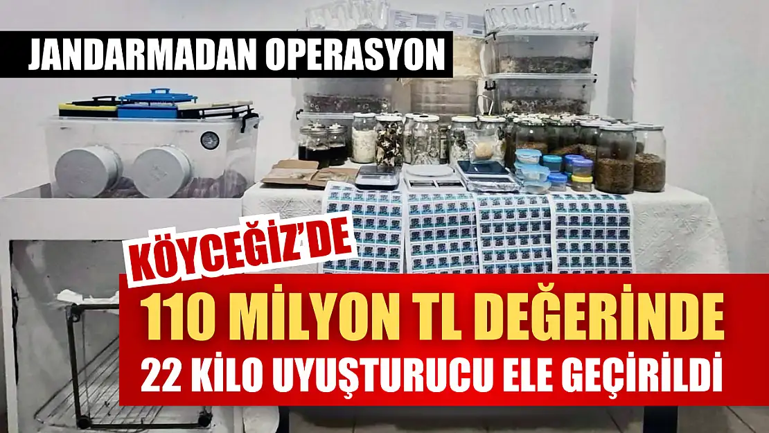 Jandarmadan operasyon: 110 milyon TL değerinde uyuşturucu ele geçirildi