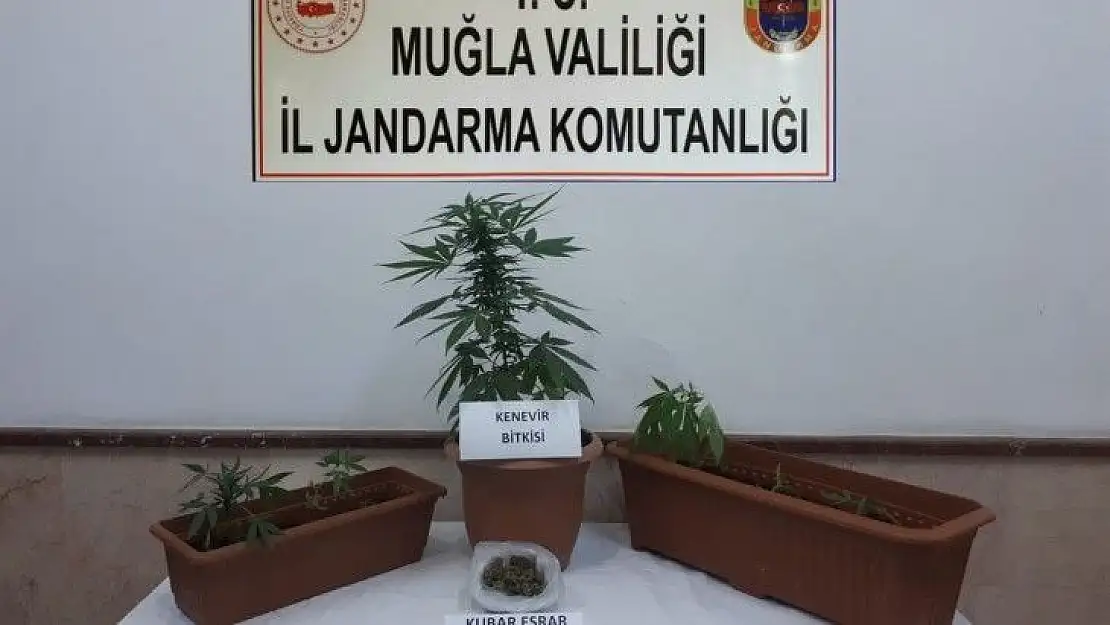 Jandarmadan, uyuşturucuya geçit yok