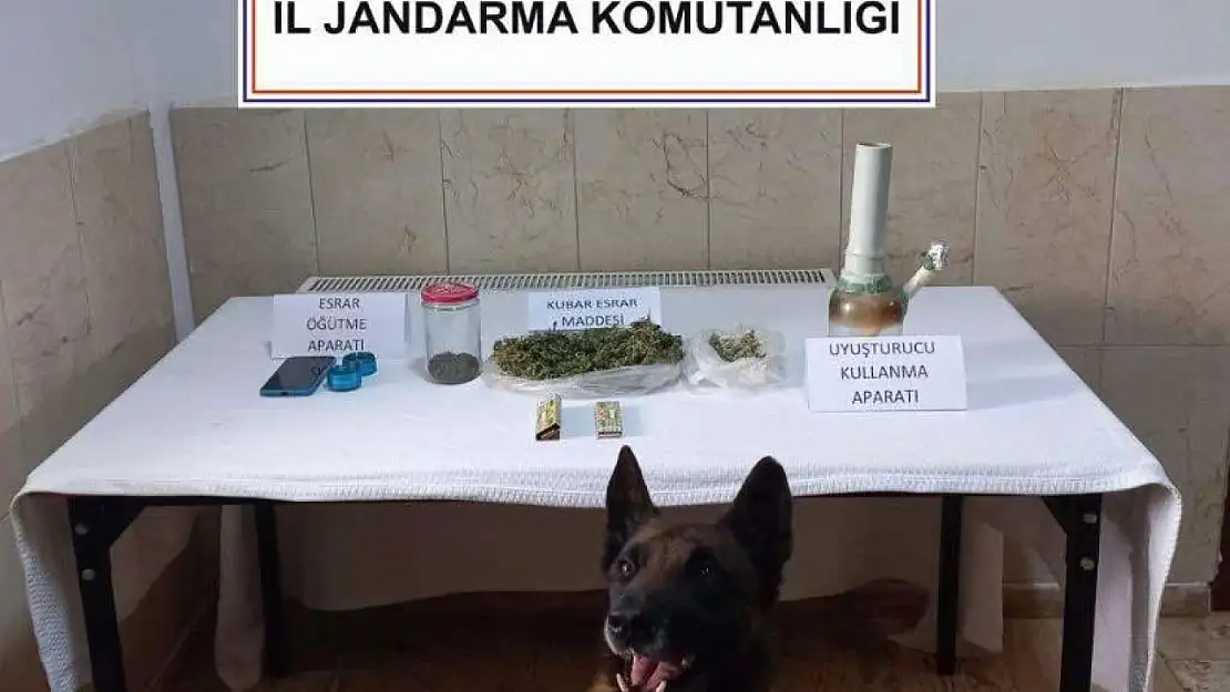 Jandarmanın Hassas Burunları Uyuşturucuya Geçit Vermedi