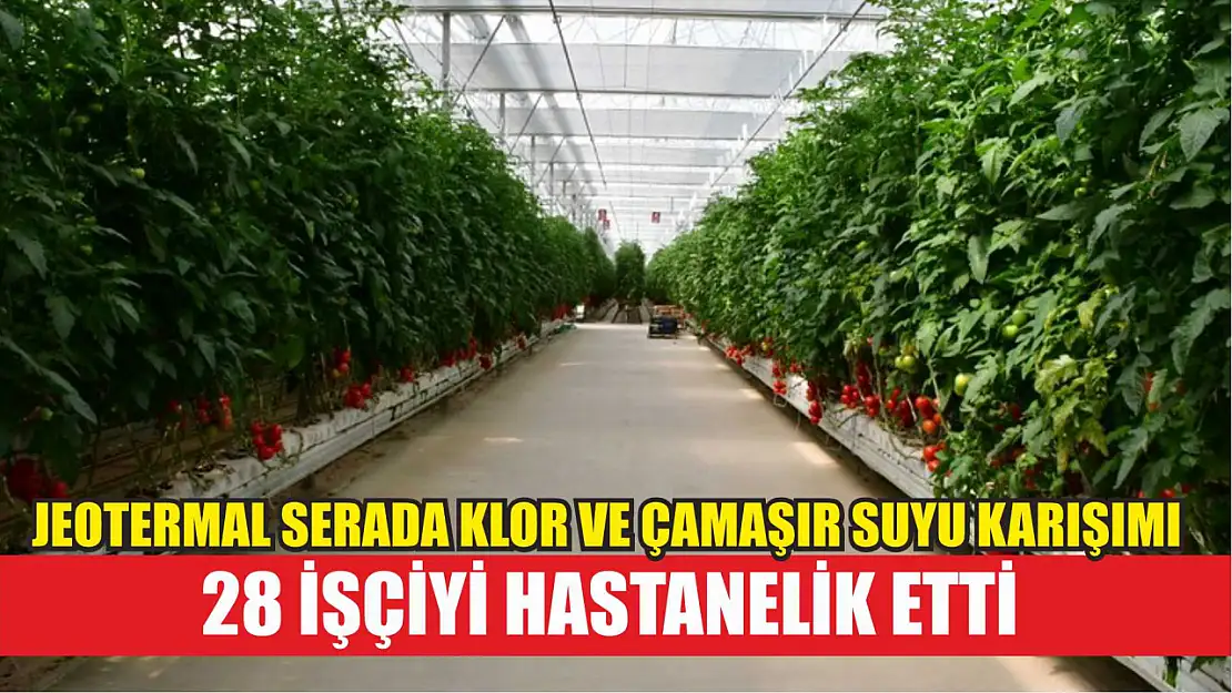 Jeotermal serada klor ve çamaşır suyu karışımı 28 işçiyi hastanelik etti