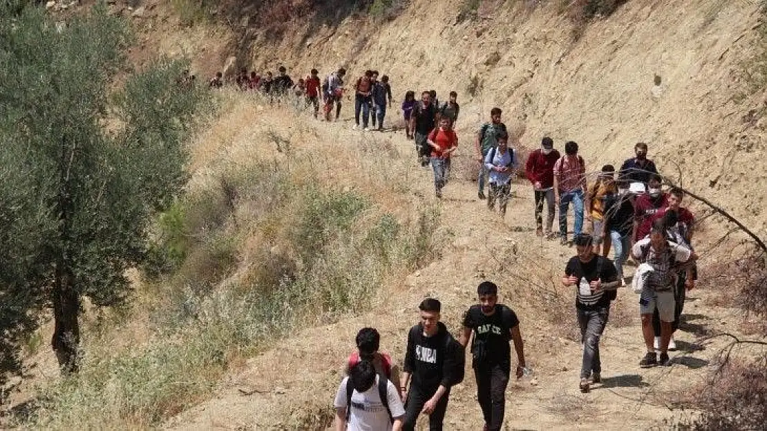 Kaçak göçmenler ormanda yakalandı