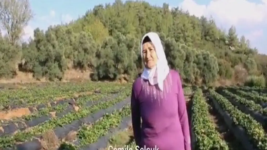 Kadına yönelik şiddet ile mücadele günü için anlamlı tanıtım