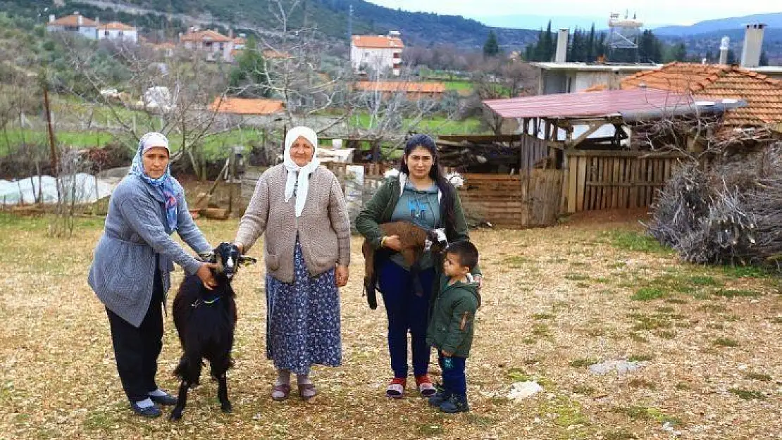 Kadınlara kıl keçisi desteklemesi meyvesini veriyor