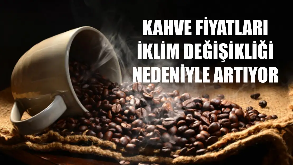 Kahve fiyatları iklim değişikliği nedeniyle artıyor