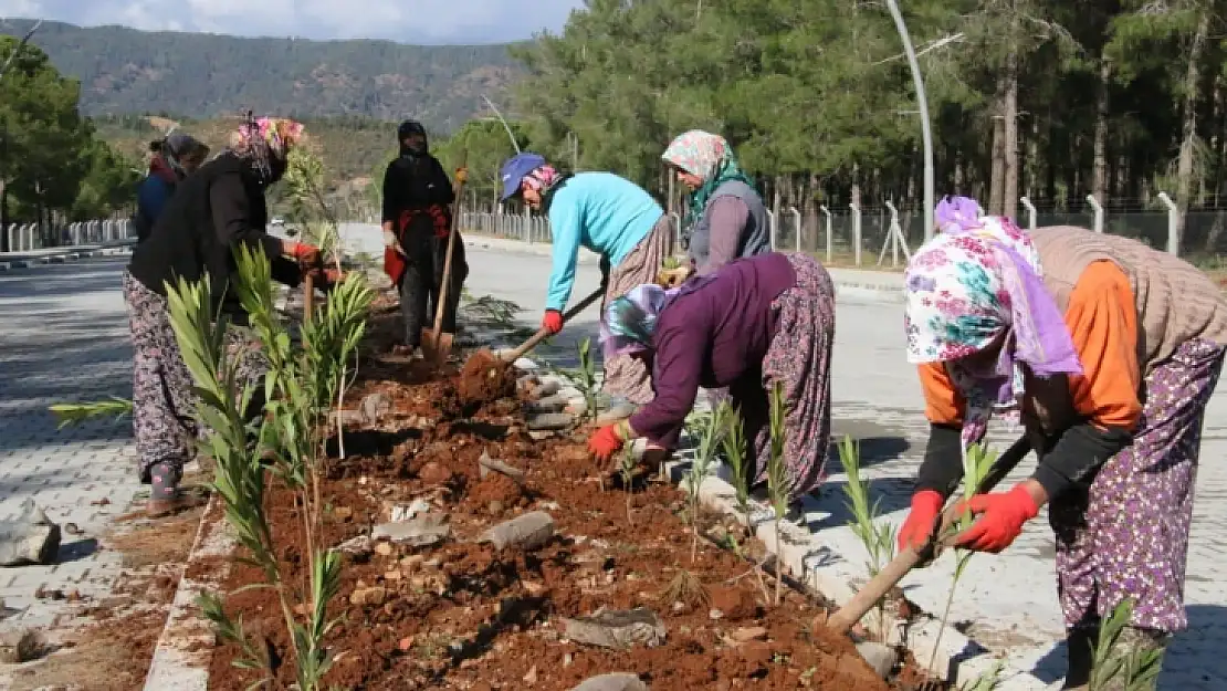 Kampüs yollarını çiçeklerle donattılar