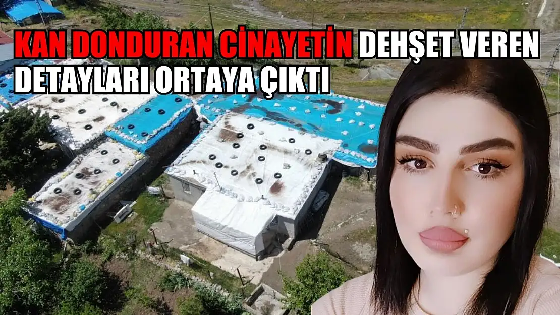 Kan donduran cinayetin dehşet veren detayları ortaya çıktı