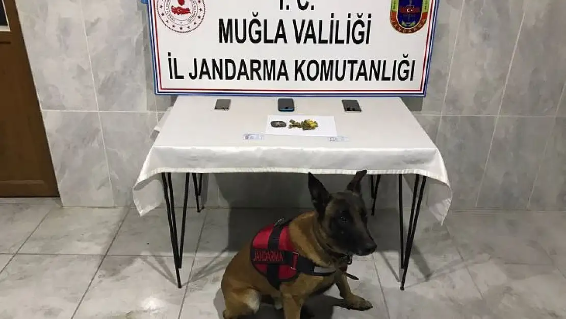 Kaptan'dan kaçamadılar