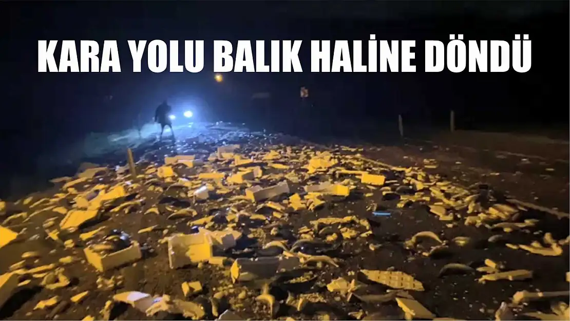 Kara yolu balık haline döndü