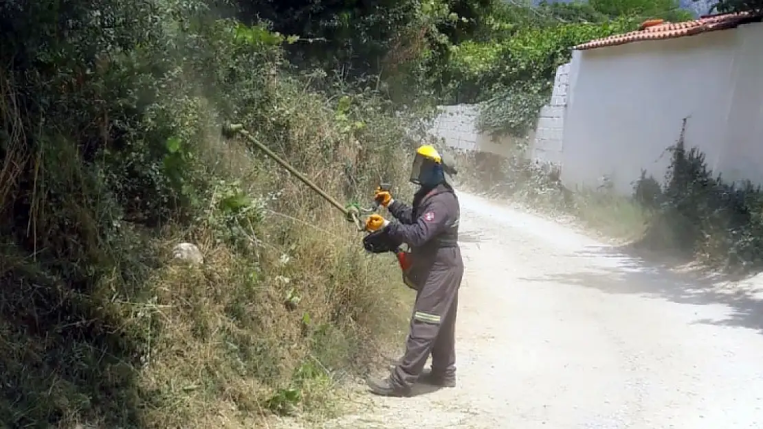 Karabağlar Zararlı Otlardan Temizleniyor