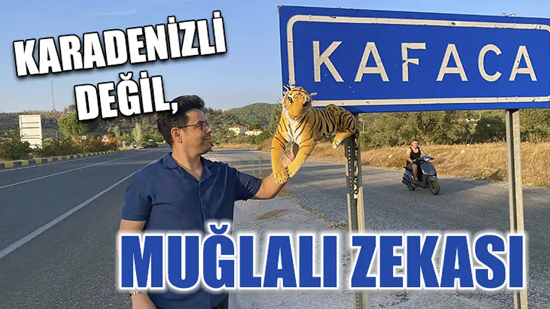 Karadenizli değil, Muğlalı zekası