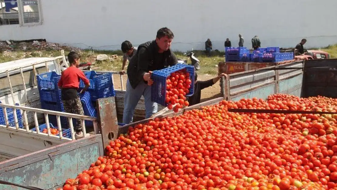 Karayiğit, ''Çiftçimiz Üretmek Zorunda''