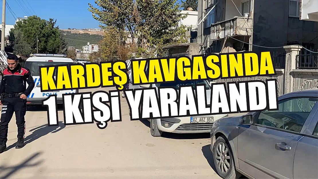 Kardeş kavgasında 1 kişi yaralandı