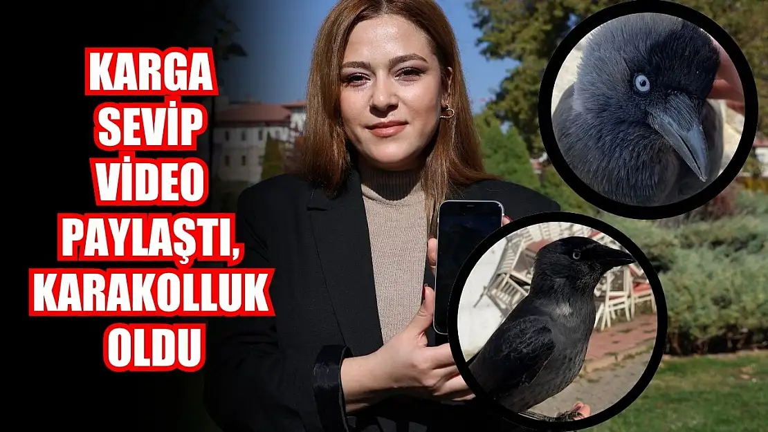 Karga sevip video paylaştı, karakolluk oldu