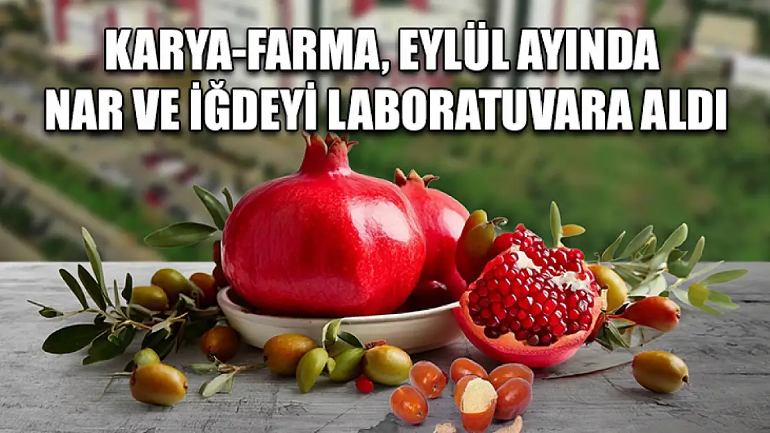 Karya-Farma, Eylül ayında nar ve iğdeyi laboratuvara aldı