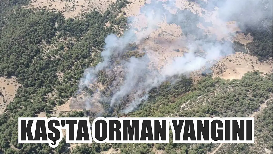 Kaş'ta orman yangını