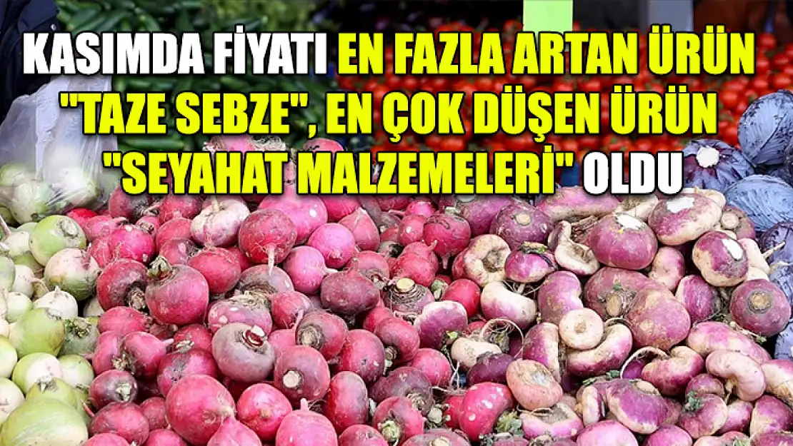 Kasımda fiyatı en fazla artan ürün 'taze sebze', en çok düşen ürün 'seyahat malzemeleri' oldu