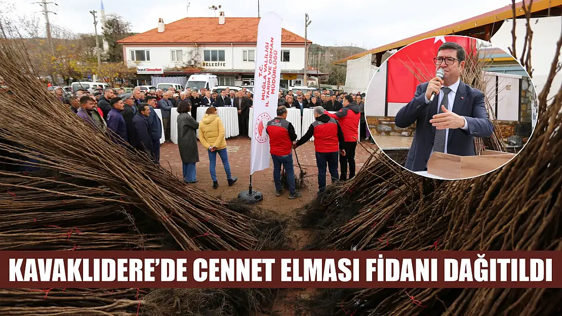 Kavaklıdere'de Cennet Elması Fidanı Dağıtıldı