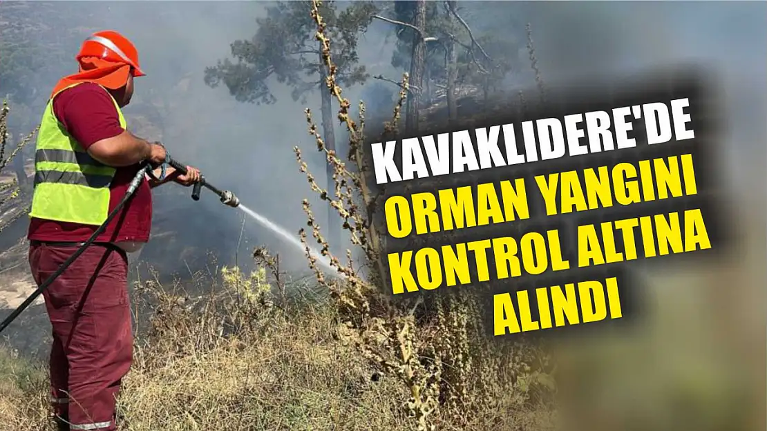 Kavaklıdere'de orman yangını kontrol altına alındı