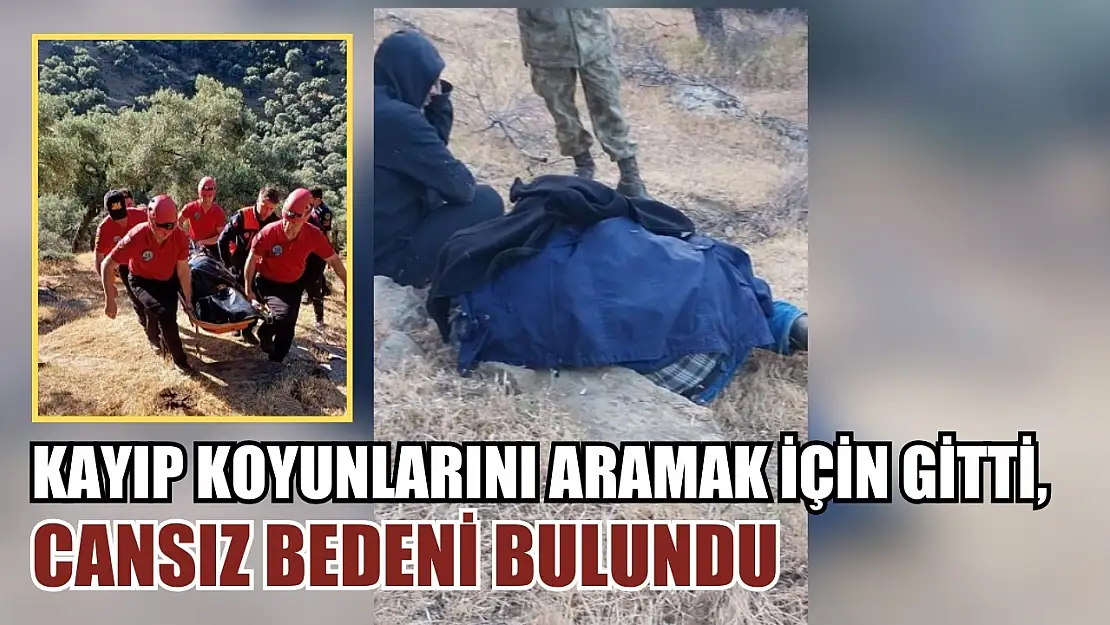 Kayıp koyunlarını aramak için gitti, cansız bedeni bulundu