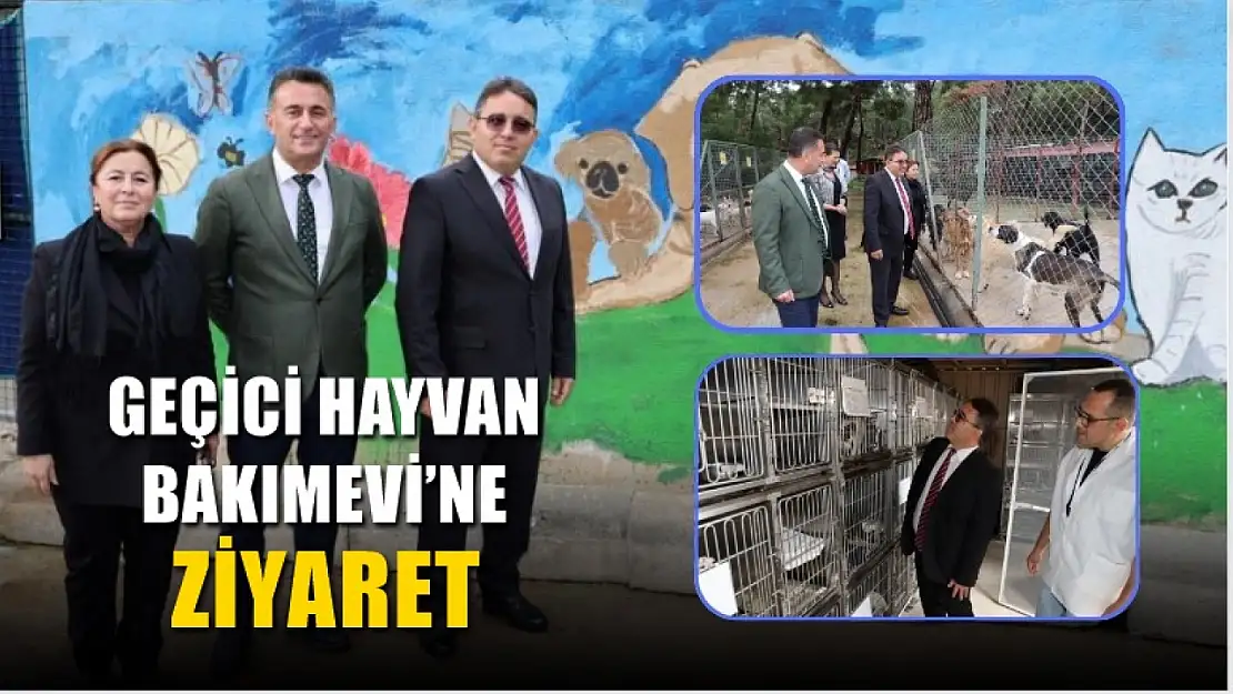 Kaymakam Kaya, Geçici Hayvan Bakımevi'nde incelemelerde bulundu