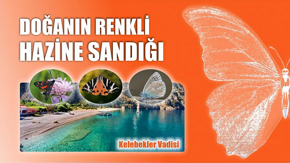 Kelebekler Vadisi: Doğanın Renkli Hazine Sandığı