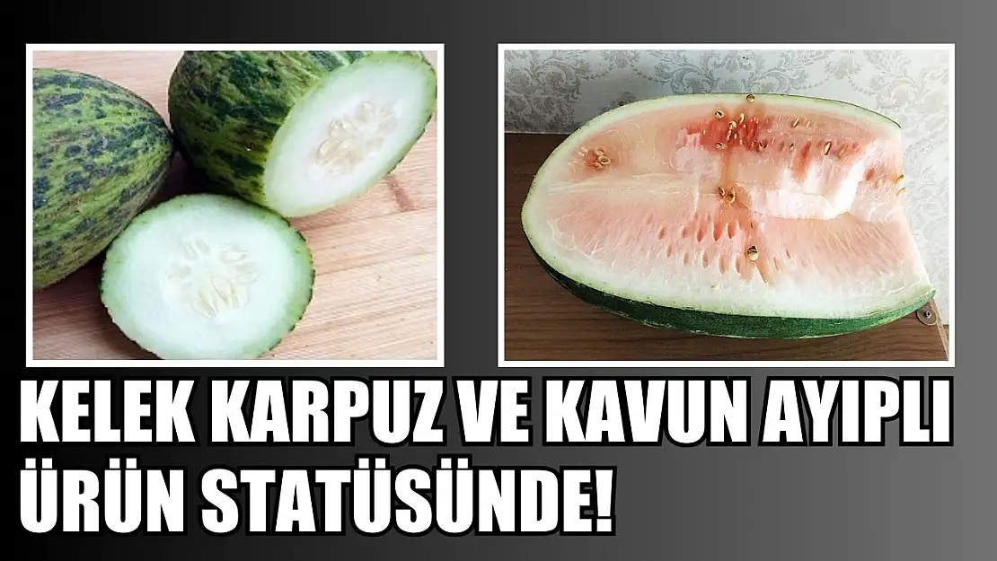 Kelek karpuz ve kavun ayıplı ürün statüsünde!