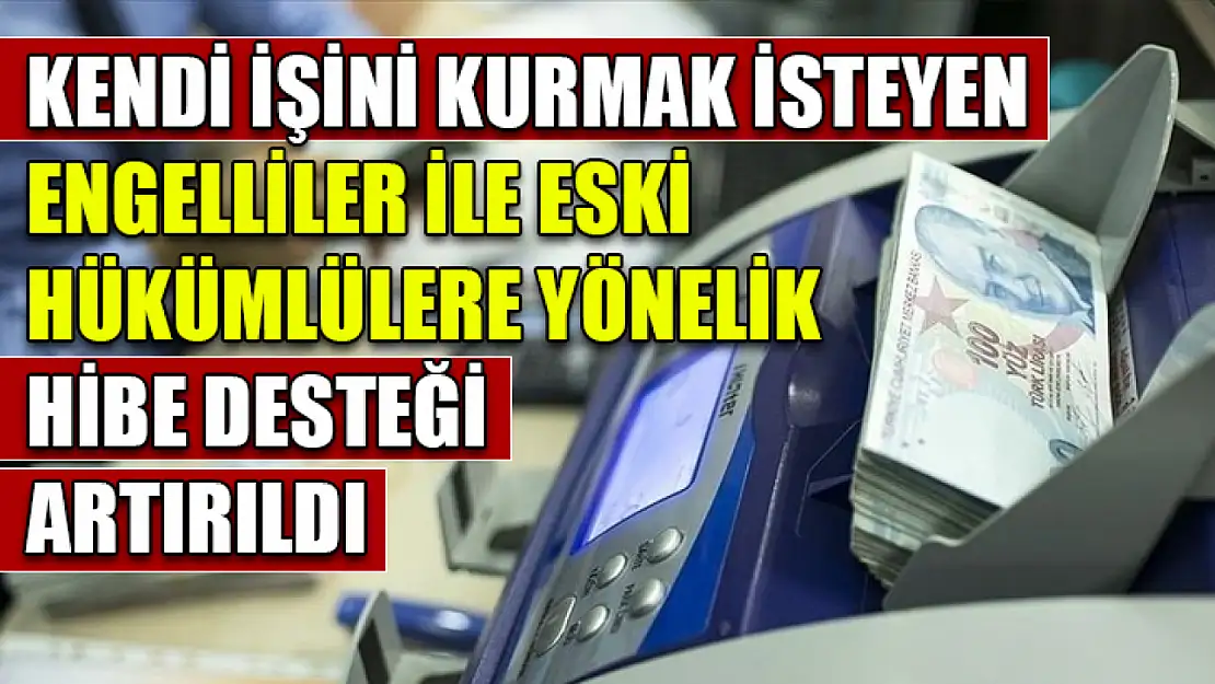 Kendi işini kurmak isteyen engelliler ile eski hükümlülere yönelik hibe desteği artırıldı