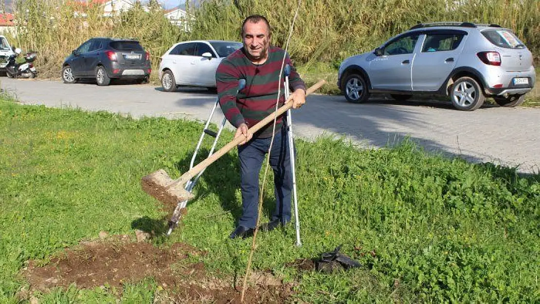 Kent Konseyi fidan dikti