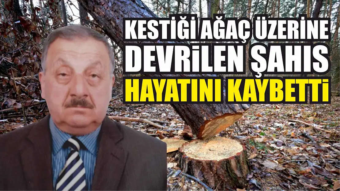 Kestiği ağaç üzerine devrilen şahıs hayatını kaybetti