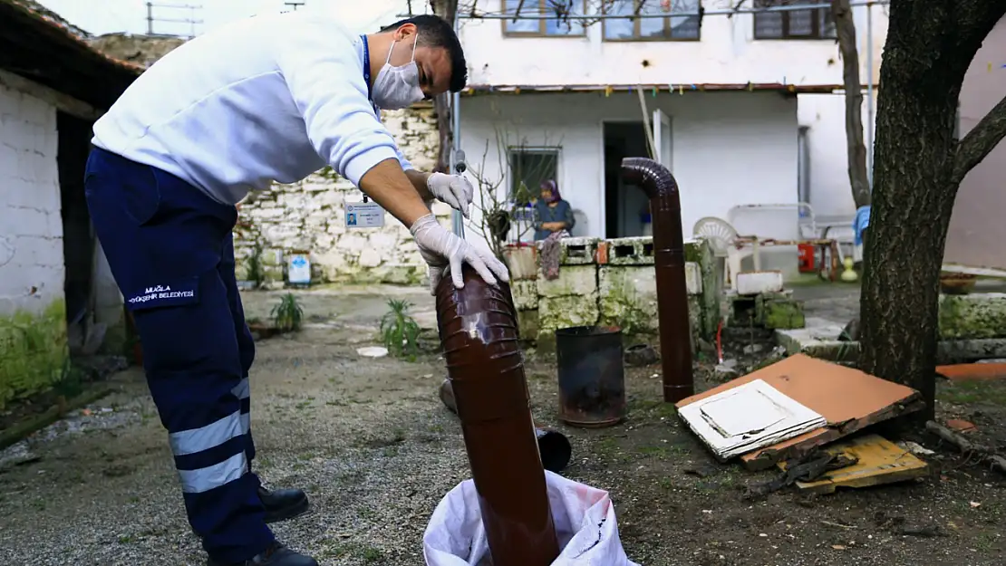 Kırsaldaki çınarlara yerinde hizmet