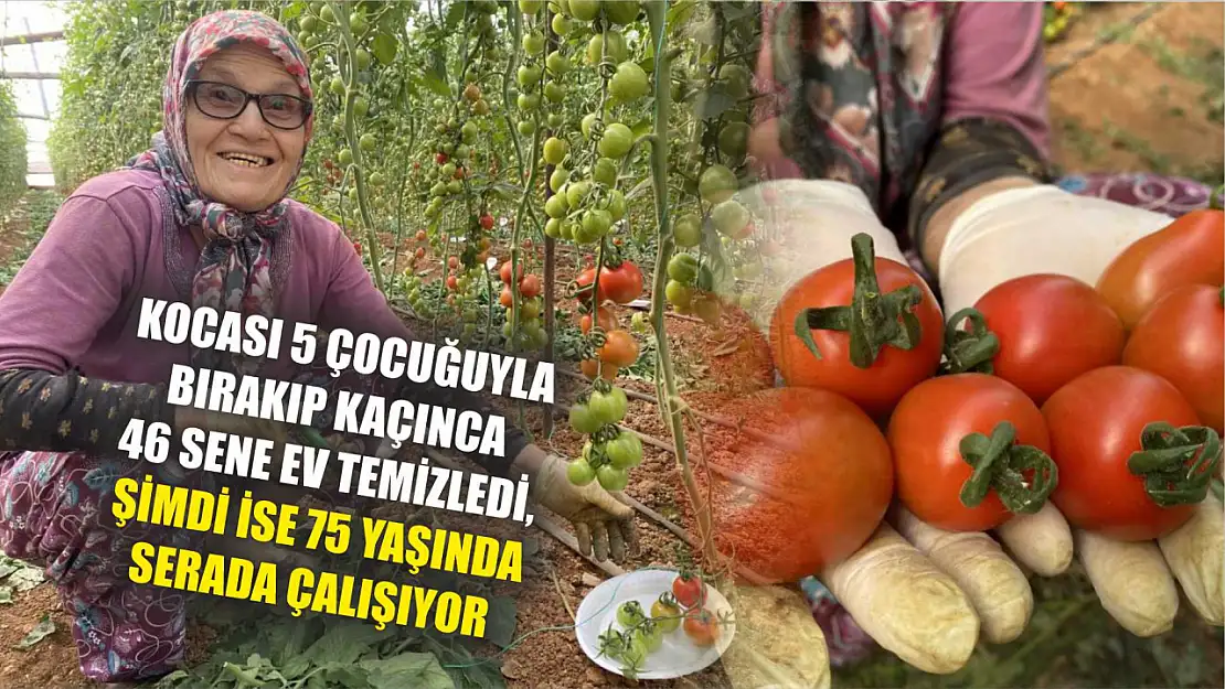 Kocası 5 çocuğuyla bırakıp kaçınca 46 sene ev temizledi, şimdi ise 75 yaşında serada çalışıyor