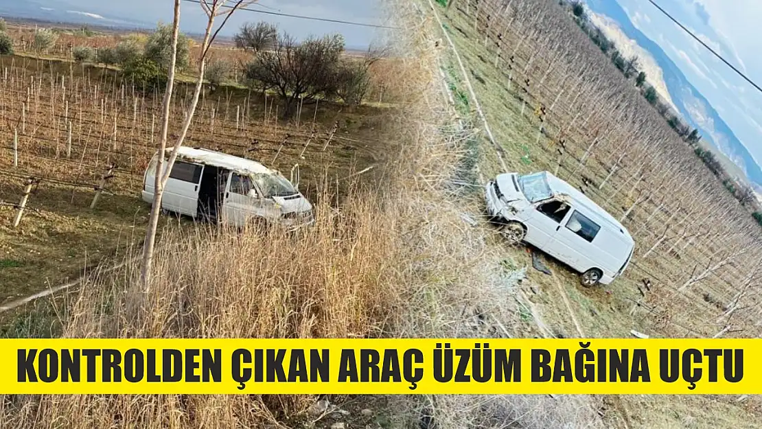 Kontrolden çıkan araç üzüm bağına uçtu