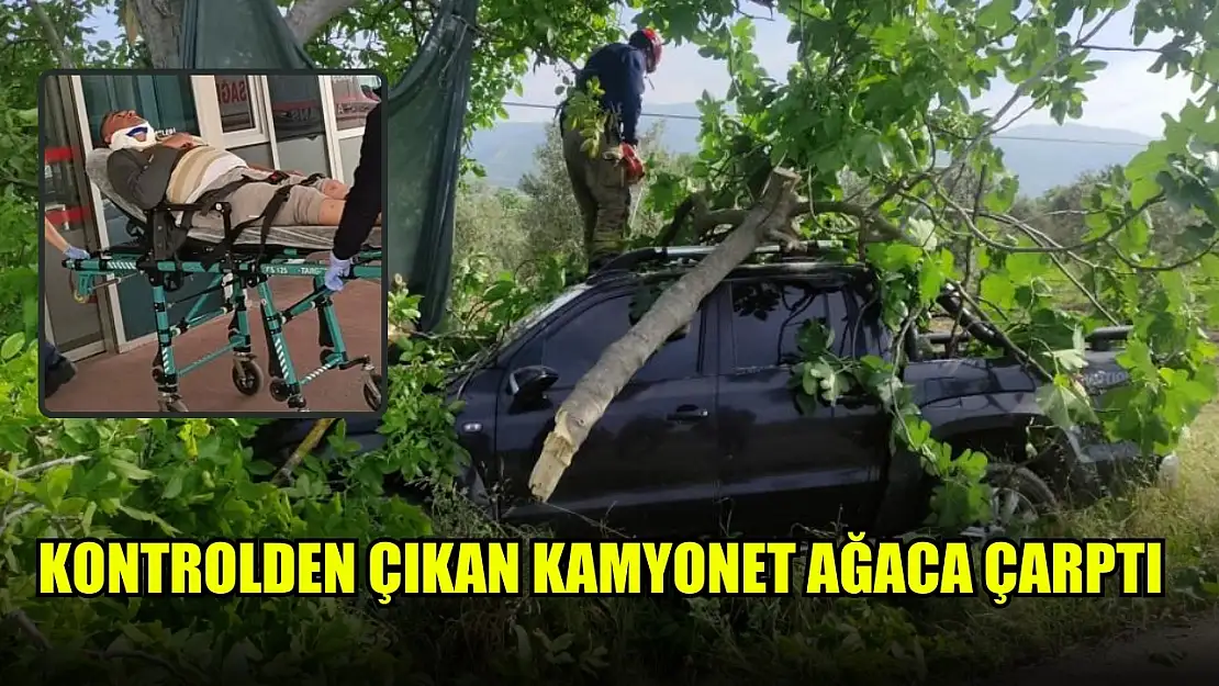 Kontrolden çıkan kamyonet ağaca çarptı