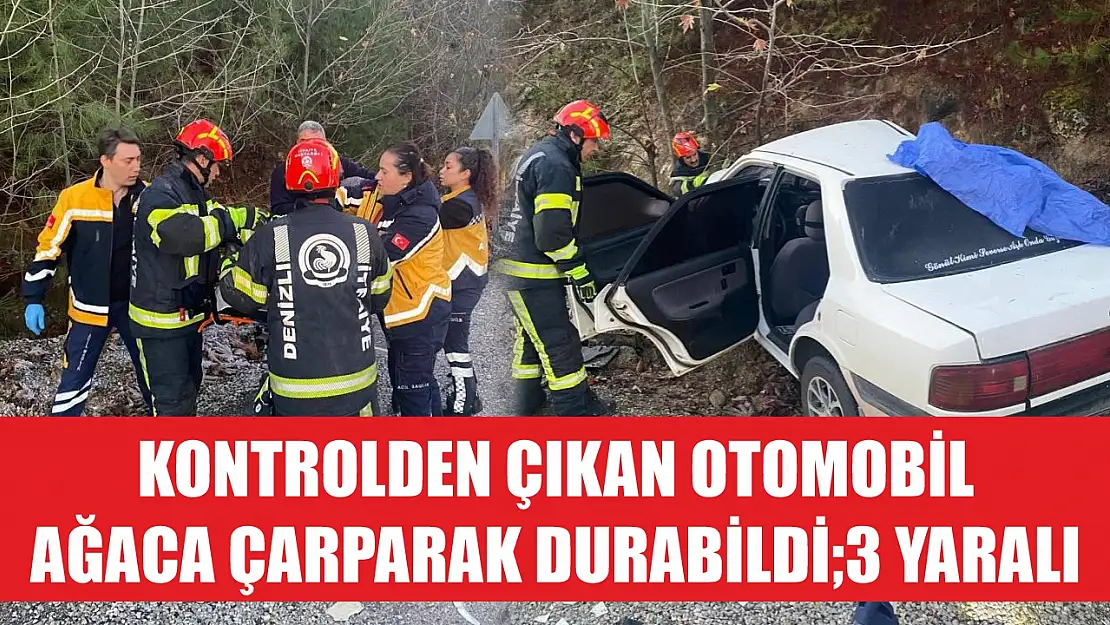 Kontrolden çıkan otomobil ağaca çarparak durabildi3 yaralı