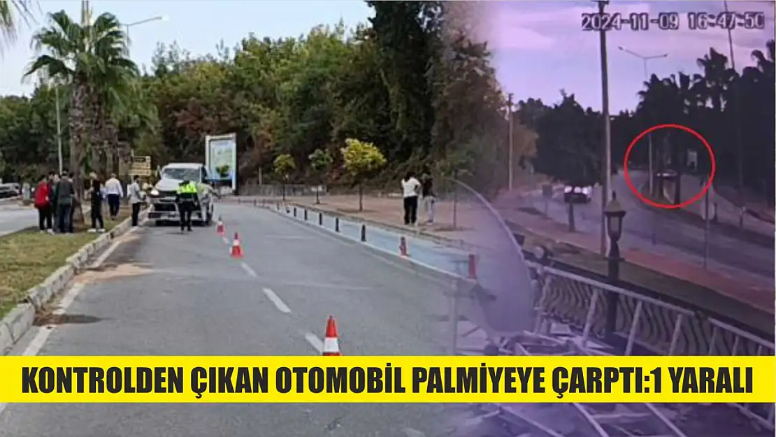 Kontrolden çıkan otomobil palmiyeye çarptı:1 yaralı