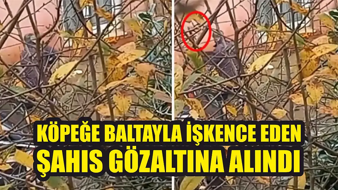 Köpeğe baltayla işkence eden şahıs gözaltına alındı