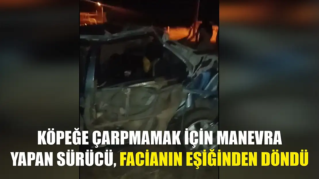 Köpeğe çarpmamak için manevra yapan sürücü, facianın eşiğinden döndü