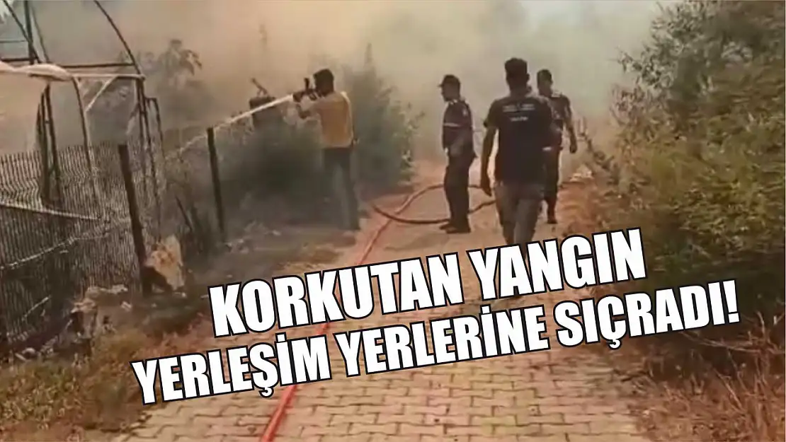 Korkutan yangın yangın yerleşim yerlerine sıçradı!