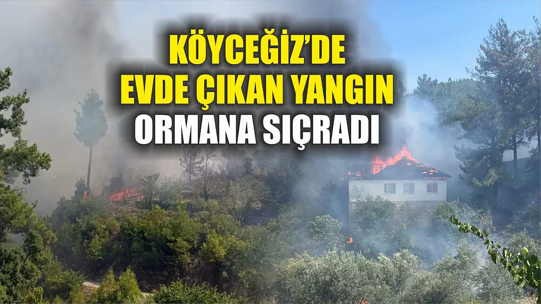 Köyceğiz'de evde çıkan yangın ormana sıçradı