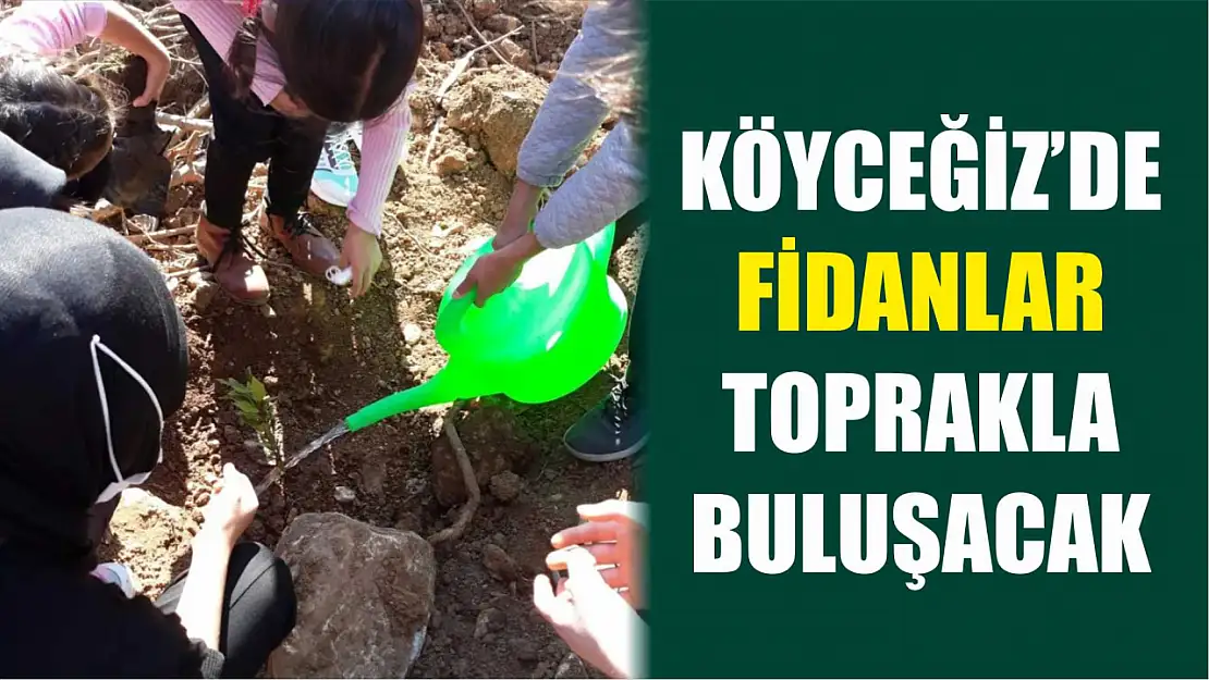 Köyceğiz'de fidanlar toprakla buluşacak