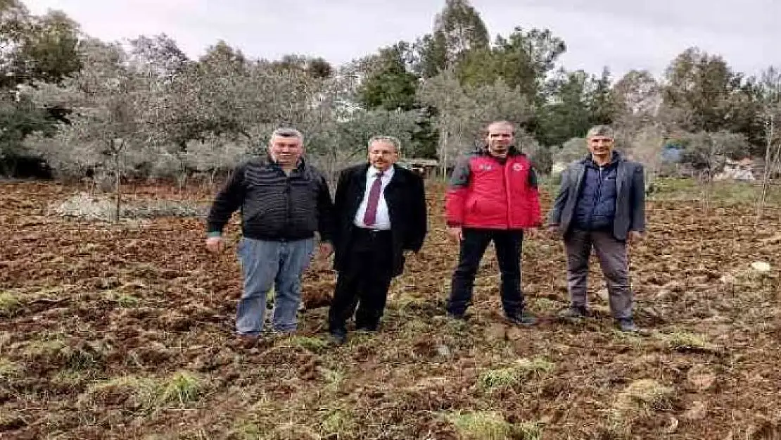 Köyceğiz'de fideler toprakla buluştu