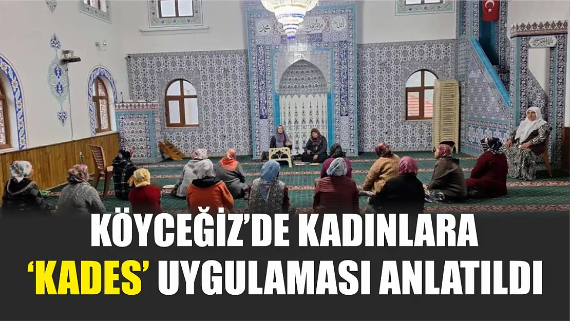 Köyceğiz'de kadınlara 'KADES' uygulaması anlatıldı