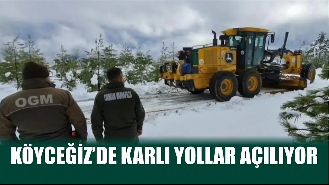 Köyceğiz'de karlı yollar açılıyor