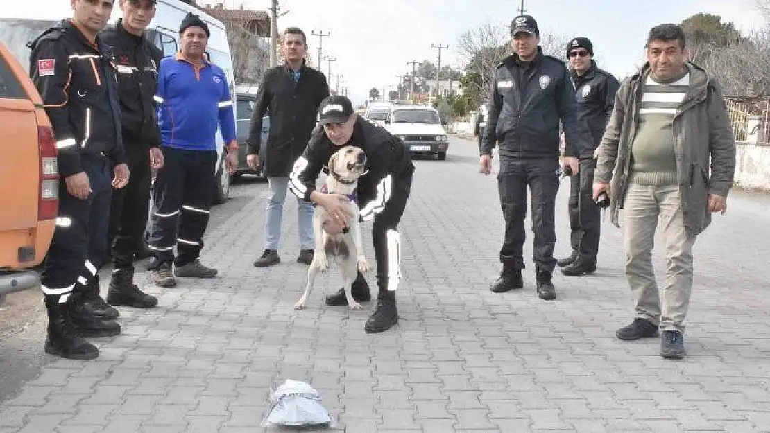 Köyceğiz'de kaybolan İngiliz aranıyor