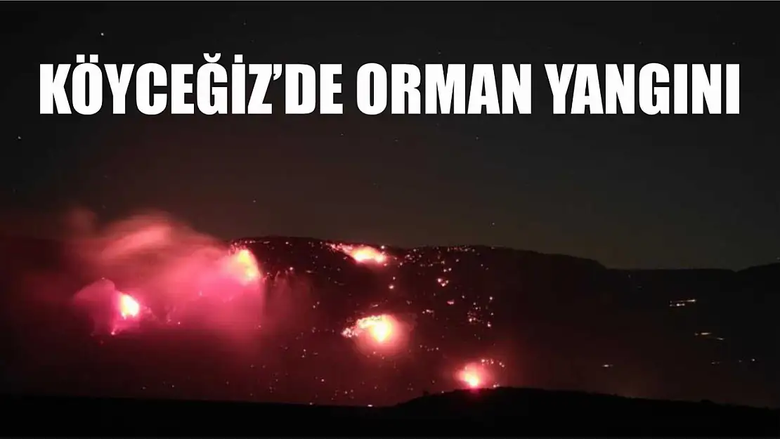 Köyceğiz'de orman yangını