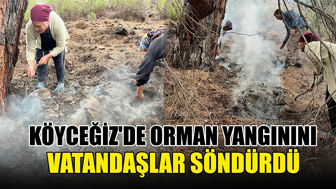 Köyceğiz'de orman yangınını vatandaşlar söndürdü