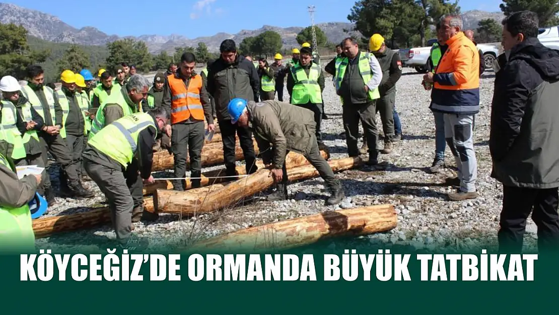 Köyceğiz'de ormanda büyük tatbikat