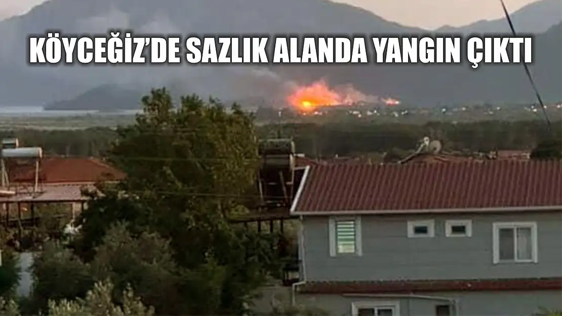 Köyceğiz'de sazlık alanda yangın çıktı