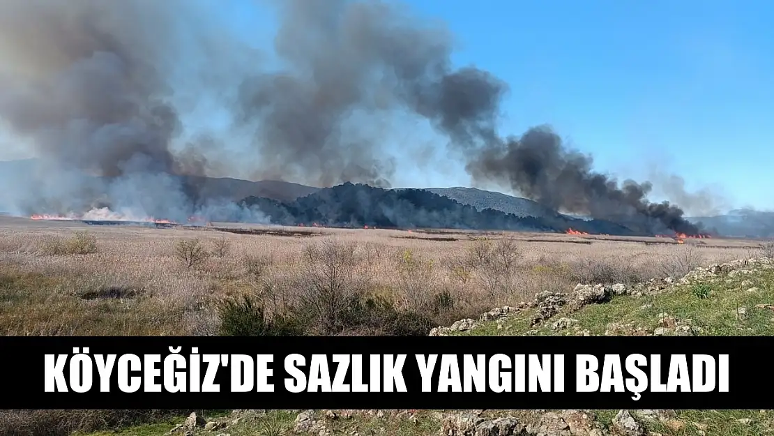 Köyceğiz'de sazlık yangını başladı