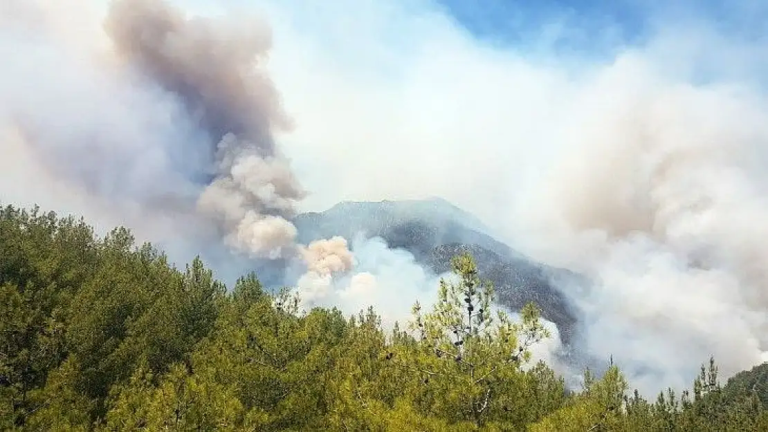 Köyceğiz'de tedbir amaçlı tahliye